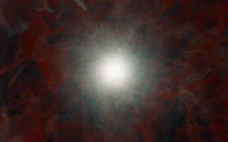 Research roundup: Six cool science stories we almost missed