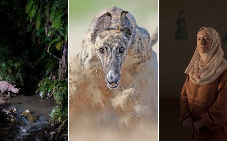 25 of the Best Photos From the Sony World Photography Awards Professional Competition