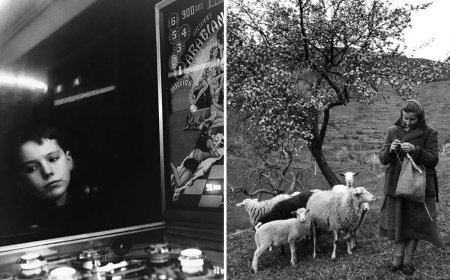 Master Photographer Janine Niepce: The Woman Who Documented a Changing France