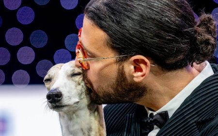 How to watch Crufts 2026 for *FREE* — Live Streams, Schedule & Preview