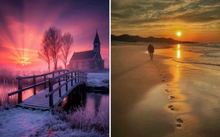25 Spectacular Sunset Photos That Paint the Sky With Fire and Gold