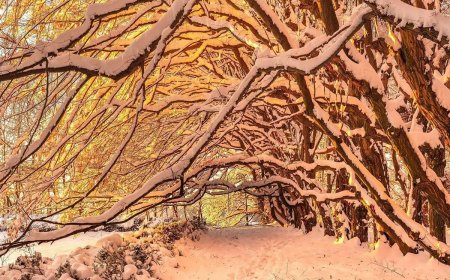 20 Breathtaking Winter Images from Southern Poland’s Snow-Covered Landscapes