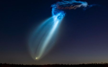 Sensational Photos Show Space Jellyfish Looming Over Florida