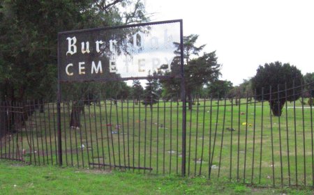 How moss helped convict grave robbers of a Chicago cemetery