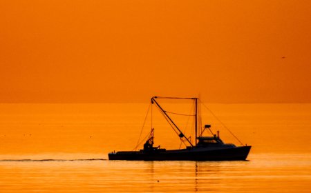 Fishing crews in the Atlantic keep accidentally dredging up chemical weapons