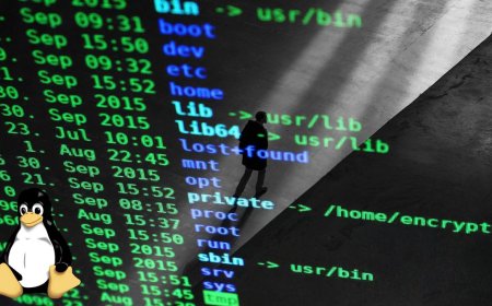 AMD VP uses AI to create Radeon Linux userland driver in Python — senior AI engineer says he "didn't open the editor once"