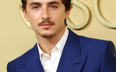 Metropolitan Opera Reacts to Timothée Chalamet’s Comments About Ballet
