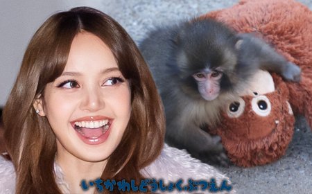 BLACKPINK's LISA Visits Punch the Monkey, Brings Orangutan Stuffed Animal