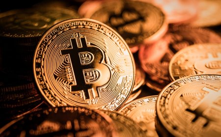 Bitcoin (BTC) Price: Whales Dumped 66% of Holdings at $74K Peak — Data Analysis