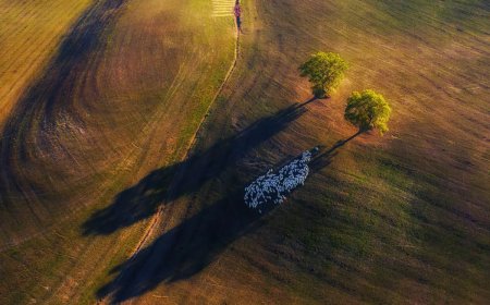 Mastering Light and Scale: 30 Award-Winning Landscapes Analyzed for Modern Photographers