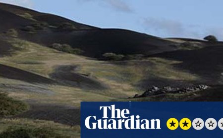 Terraforma review – unhurried portrait of Ascension Island’s human-made nature