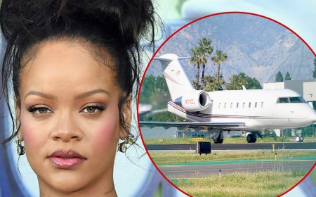 Rihanna Leaves Los Angeles After Woman Shoots at Her Home