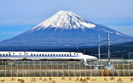 Panasonic’s Very Specific Survey Is All About Photographing Kids and Trains