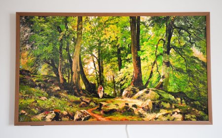 The best Hisense TVs of 2026: Expert tested and reviewed