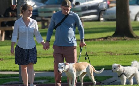 Disgraced Smallville star Allison Mack spotted for first time with ex-neo-Nazi husband as they walk their dogs