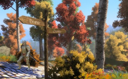 Skyblivion project lead says the massive Oblivion remake mod is "in a great place" during its first proper showcase of 2026