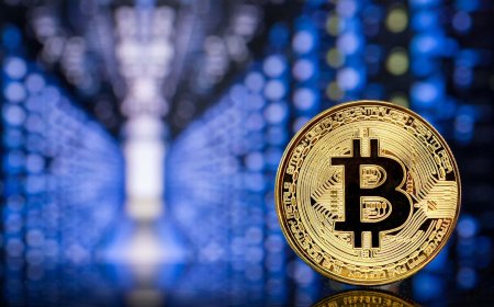 Bitcoin Whale Activity Hits Six-Year High as Retail Participation Stays Near Cycle Lows