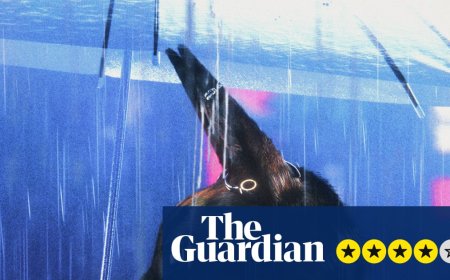 Bouchra review – Prada-wearing coyote is anti-identitarian alter ego in film that maps queer experience