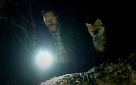 The Fox Review: Off-Beat, Surrealist Aussie Comedy Is Not As Weird As It Should Be