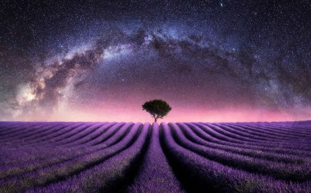 Beyond the Stars: How Mads Peter Iversen Captures the Milky Way Like No One Else