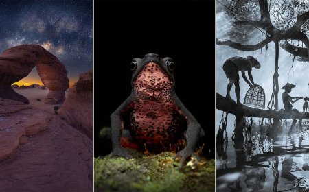 Sony World Photo Awards National and Regional Winners Showcase Global Photography Talent