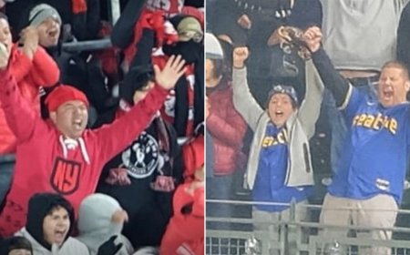 Momento Captures Photos of Sports Fans Celebrating All the Big Plays