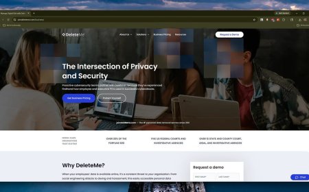My personal data has been leaked several times - this service helped clean it all up