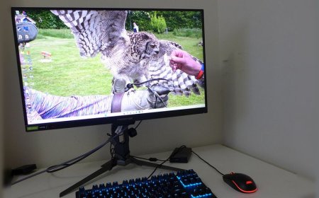 Acer Predator XB273U F5 27-inch QHD 360 Hz gaming monitor review: Utilizing G-Sync Pulsar to deliver phenomenal blur reduction