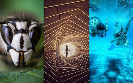 The Best Mobile Photos of the Year: 15th Annual MPA Winners Revealed
