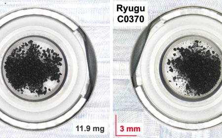 We keep finding the raw material of DNA in asteroids—what's it telling us?