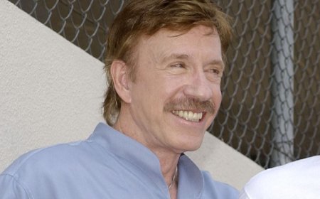 In Praise of Chuck Norris Facts, Key Artifact from the Time When It Felt Great to Be Online
