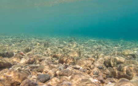 Mining the deep ocean