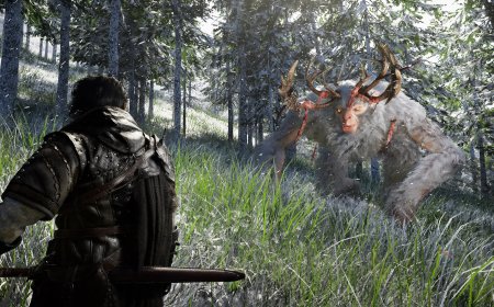 Crimson Desert Optimization: Best Settings for Performance and Visual Quality
