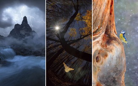 2026 Memorial Maria Luisa Awards: Best Mountain & Nature Photos Revealed