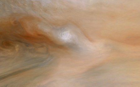 A mission NASA might kill is still returning fascinating science from Jupiter