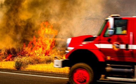 Study says roads bring more fires to forests; USDA wants more roads to fight fires