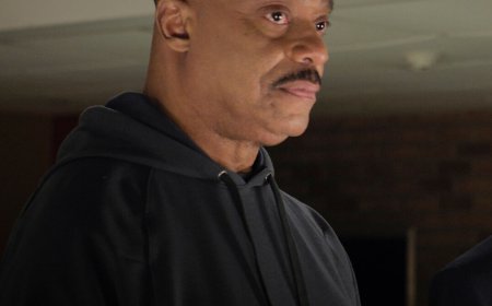 NCIS' Rocky Carroll and More Stars Who Made Shocking TV Exits