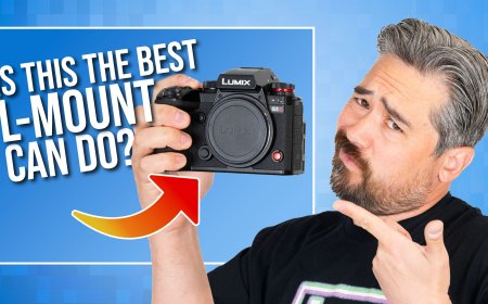 L-Mount May Never Get a Wildlife Camera | The PetaPixel Podcast