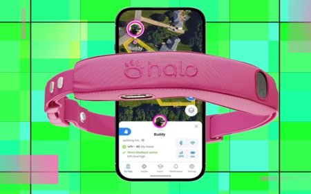Get your pup the smart Halo Collar 5 that's 25% off