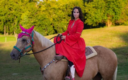 Dungeons & Dragons live-action event lets you ride horses to solve a mystery