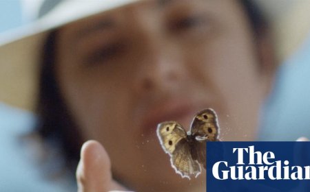 Four wives, two passports and a very elusive butterfly: one woman’s search for her lepidopterist father