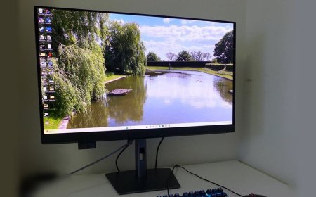 Dell UltraSharp U3226Q 4K 32-inch QD-OLED monitor review: Pro-grade with reference-level color