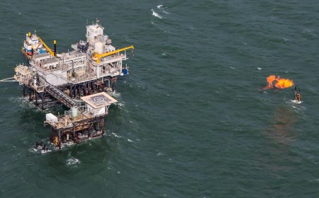 Trump convenes "God Squad" to override Endangered Species Act, up oil production