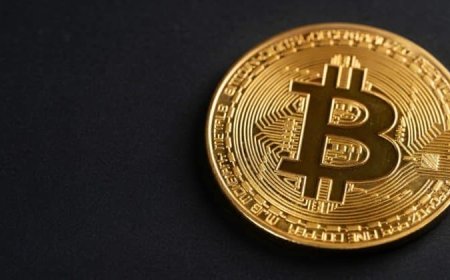Elon Musk animates Bitcoin waifu after viral fan art request