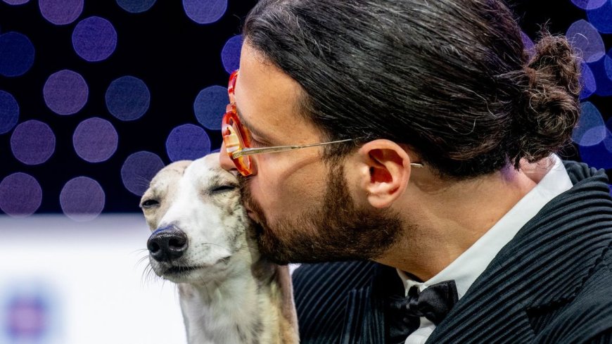 How to watch Crufts 2026 for *FREE* — Live Streams, Schedule & Preview