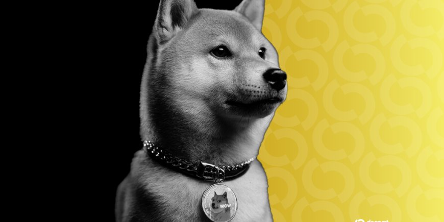 Dogecoin Down Bad as Bitcoin Gives Up Latest Gains