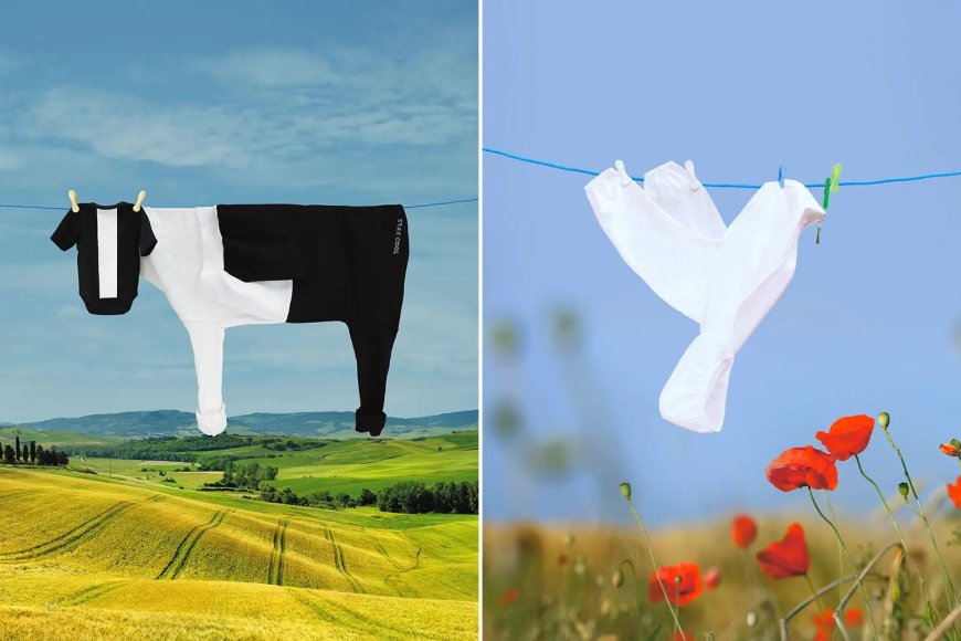 The Art of the Everyday: Analyzing Helga Stentzel’s Genius for Household Illusion