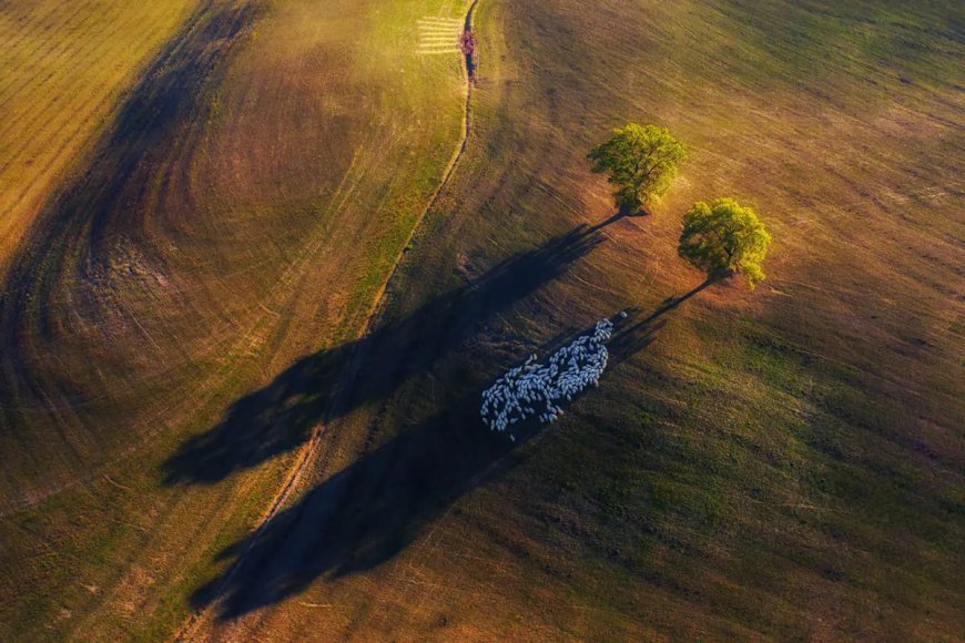 Mastering Light and Scale: 30 Award-Winning Landscapes Analyzed for Modern Photographers