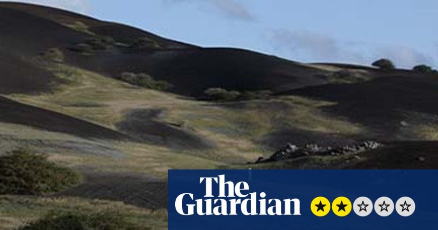 Terraforma review – unhurried portrait of Ascension Island’s human-made nature