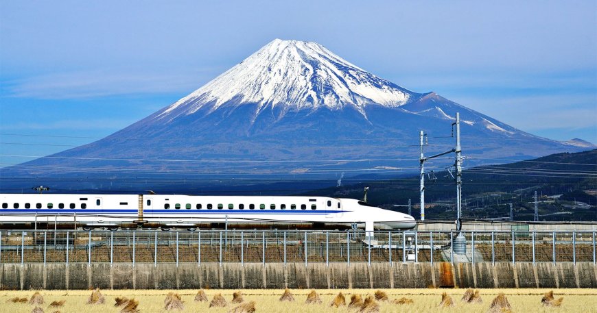 Panasonic’s Very Specific Survey Is All About Photographing Kids and Trains